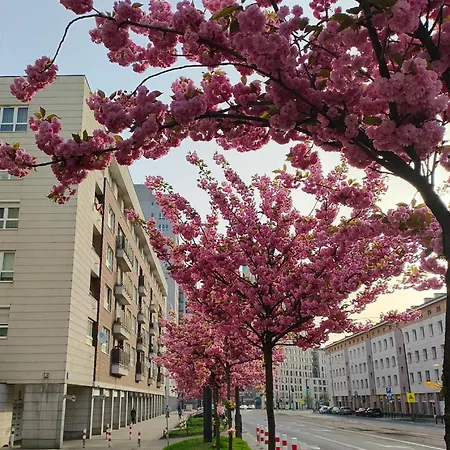 Totutotam_02 ורשה